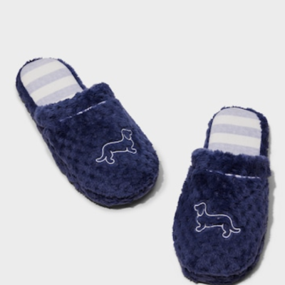 Peter alexander best sale koala slippers